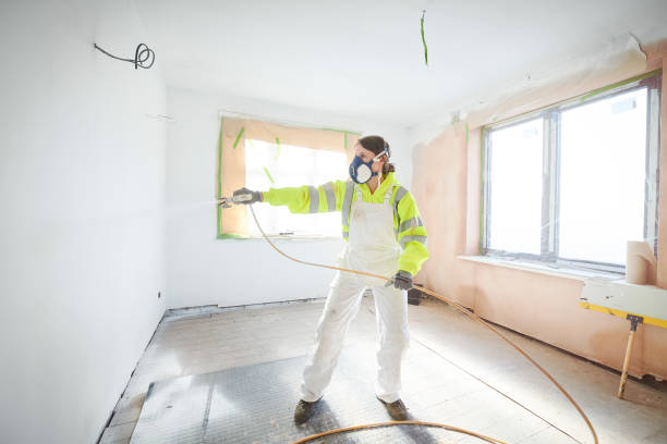  North Haverhill, NH Mold Removal Pros