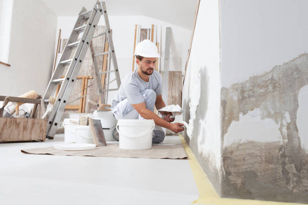 Best Mold Documentation for Insurance Claims  in North Haverhill, NH