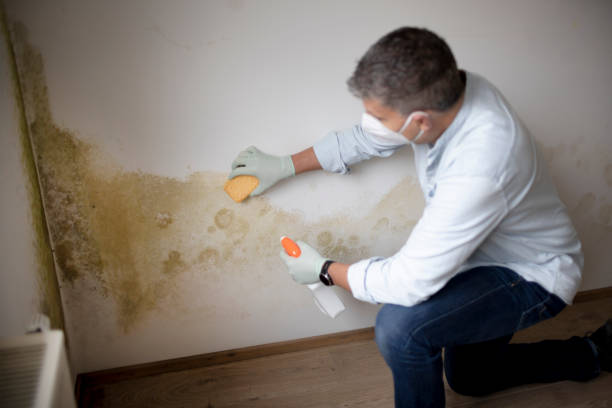 Best Airborne Mold Testing  in North Haverhill, NH