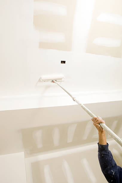 Best Mold Remediation for Vacation Homes  in North Haverhill, NH